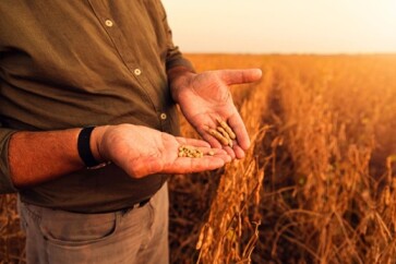 Crise-no-agro-gera-calote-de-r-48-bi-e-transforma-bancos-em-fazendeiros-televendas-cobranca-1